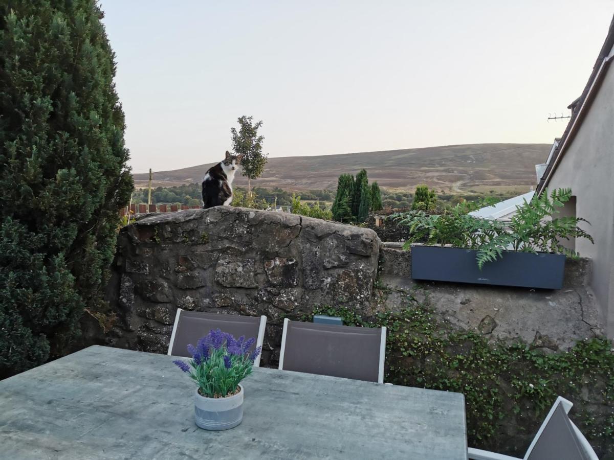 Ex-Miners Cottage, Blaenavon, Near Abergavenny ภายนอก รูปภาพ